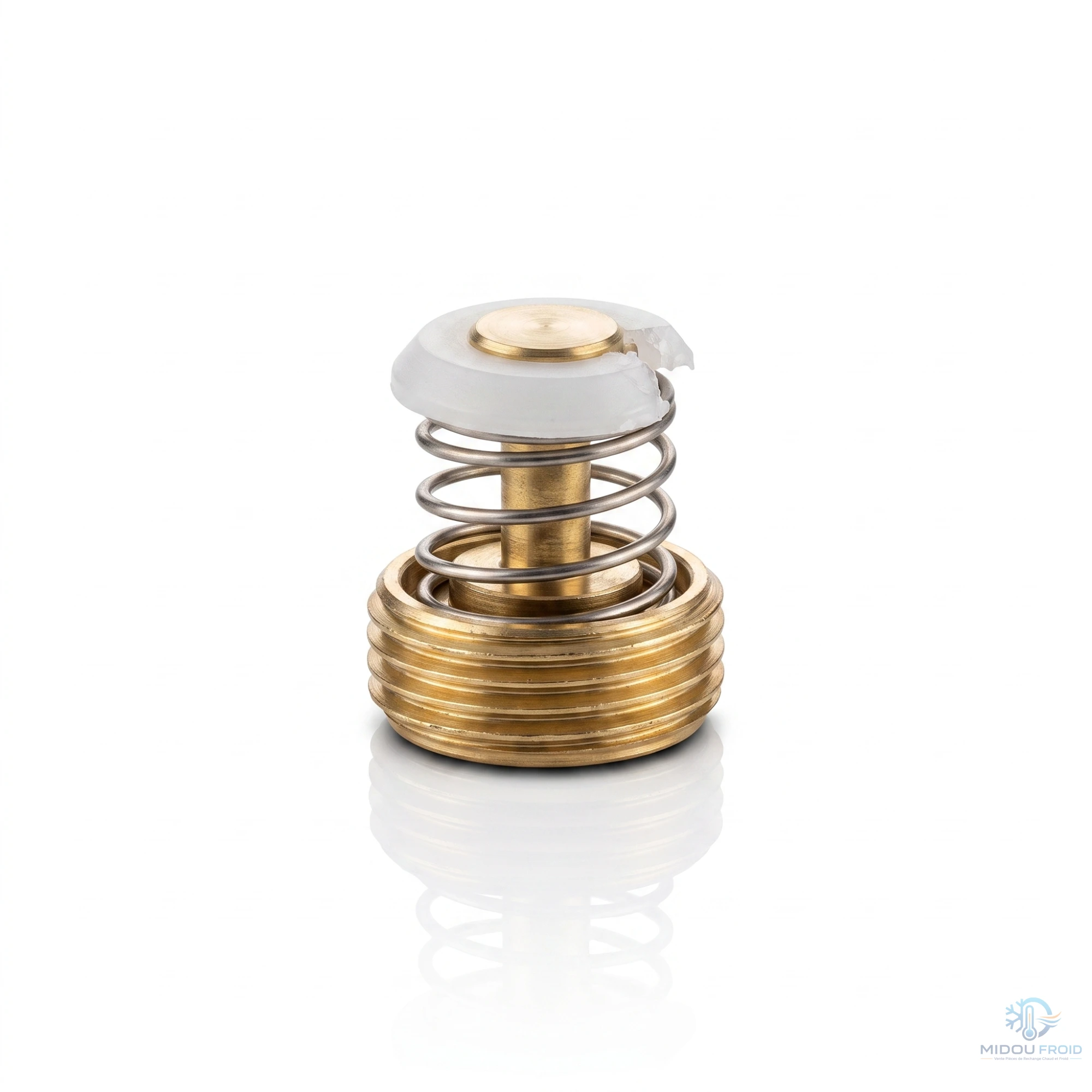 REGULATEUR CHF- BAIN PILE 5L